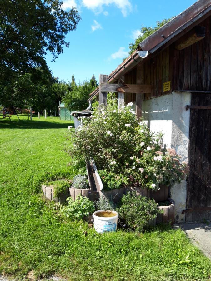 Ferienwohnung Im Seidlerhof Mit Balkon Und Garten Röhrnbach Zewnętrze zdjęcie