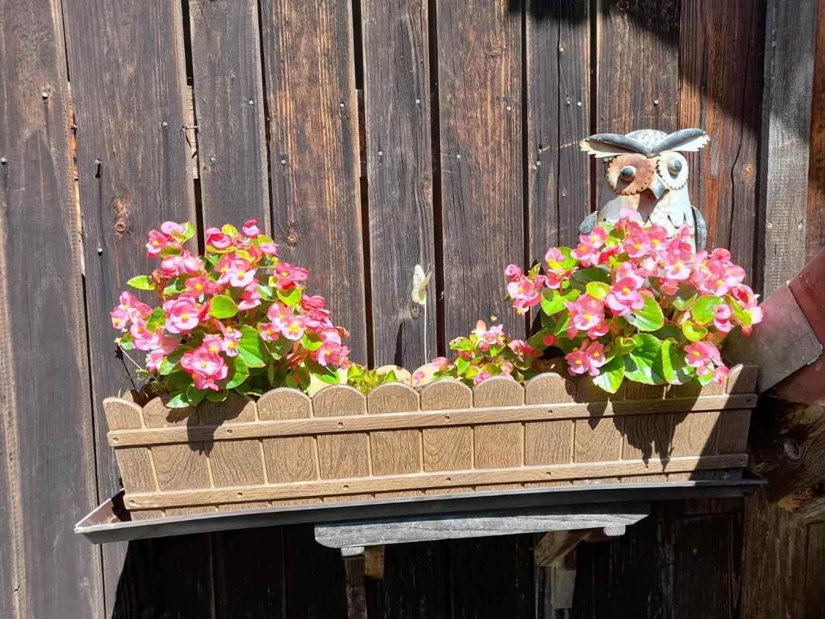 Ferienwohnung Im Seidlerhof Mit Balkon Und Garten Röhrnbach Zewnętrze zdjęcie