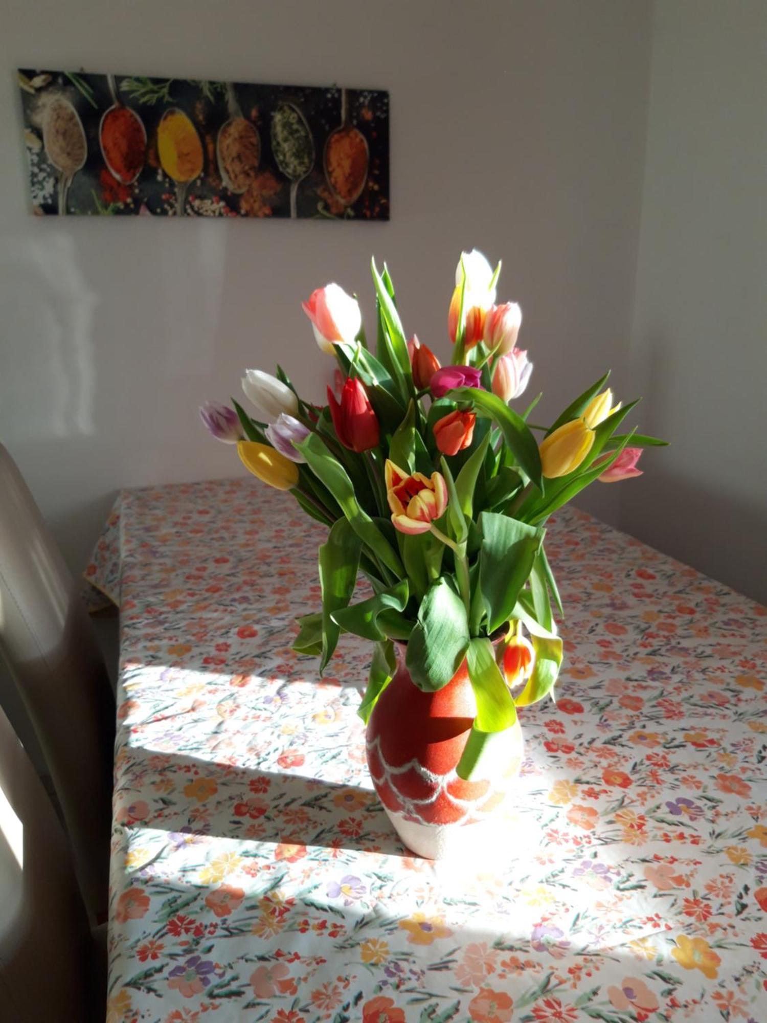 Ferienwohnung Im Seidlerhof Mit Balkon Und Garten Röhrnbach Zewnętrze zdjęcie